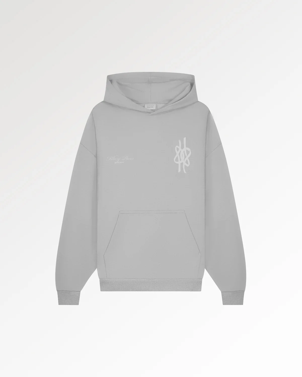 Hoodie Boxy Film Strip Antarctica