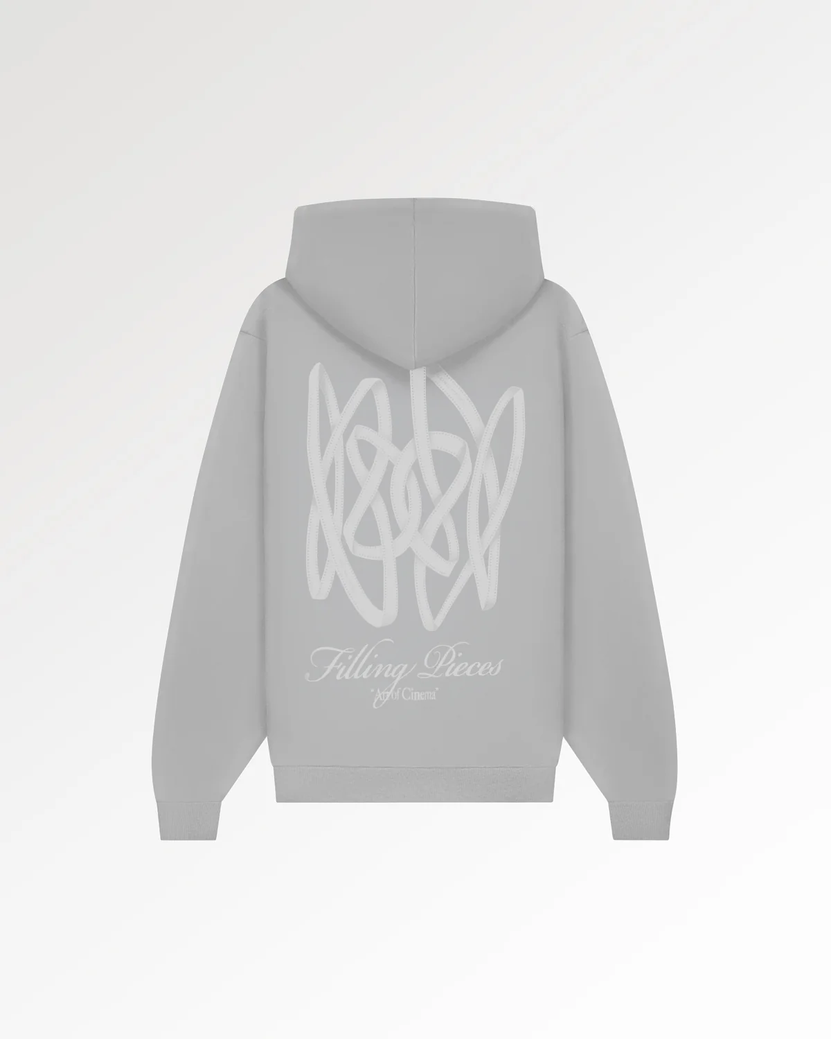 Hoodie Boxy Film Strip Antarctica - Image 2
